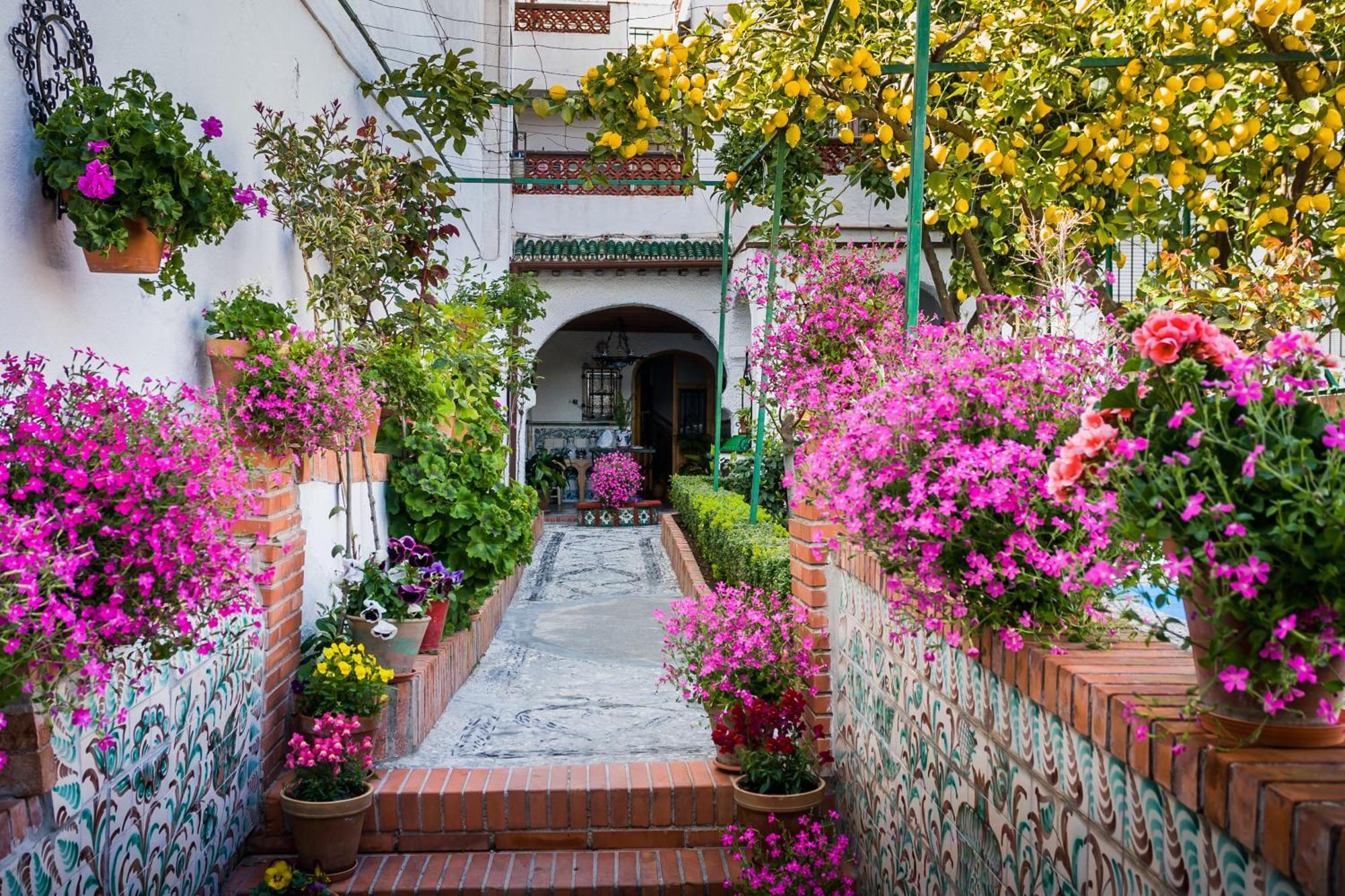 Апартаменти Grazaries -Piso Centrico Granada- Екстер'єр фото